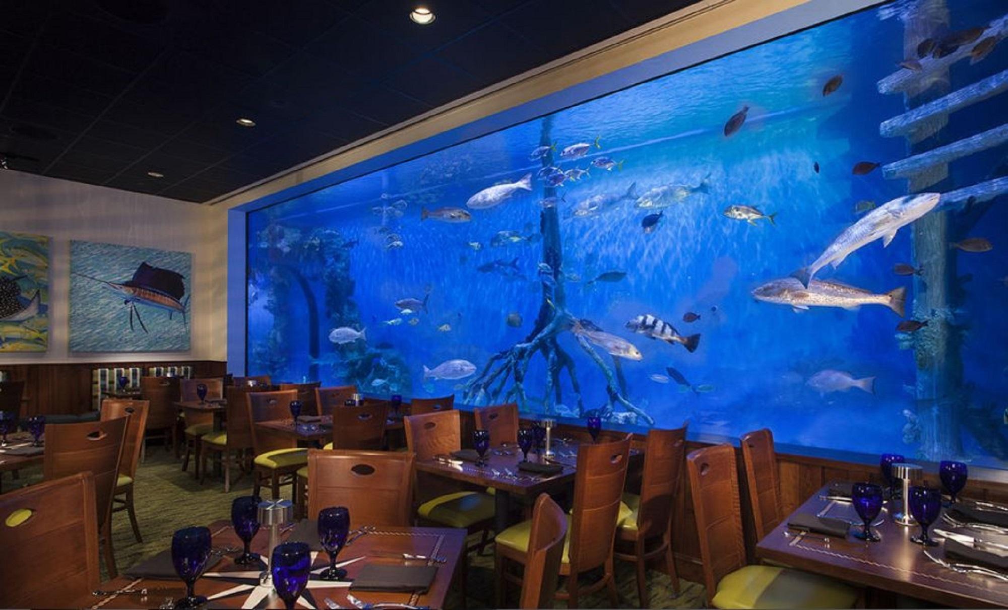 Rumfish Beach At Tradewinds St. Pete Beach Exterior photo